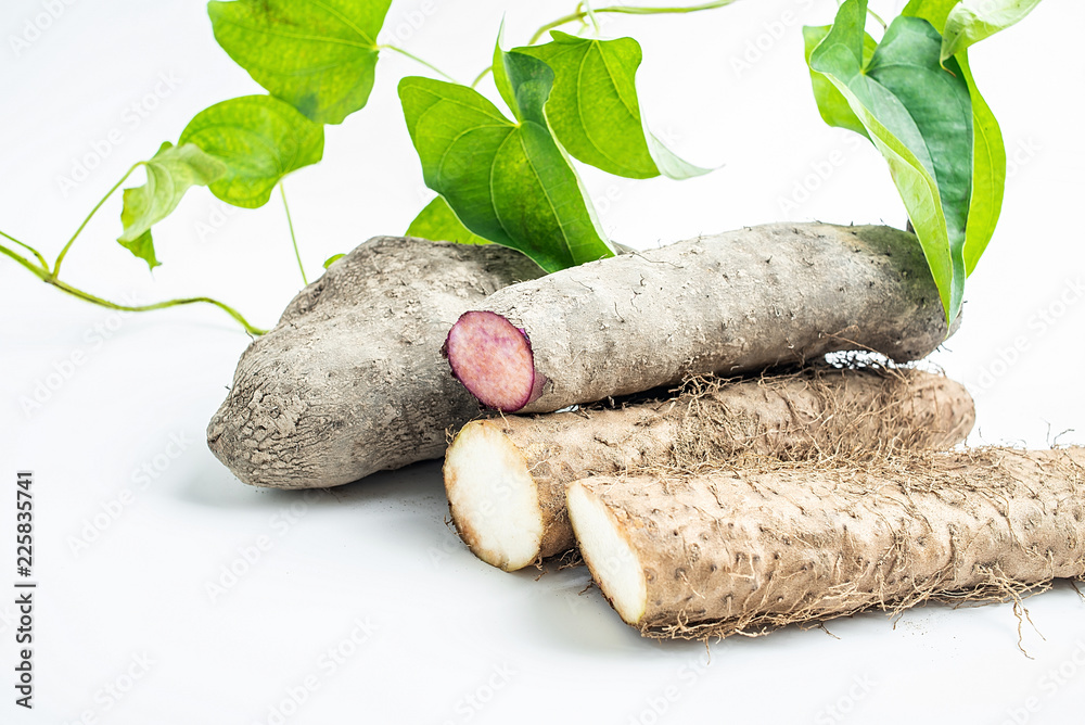 Fresh purple yam and white yam on white background