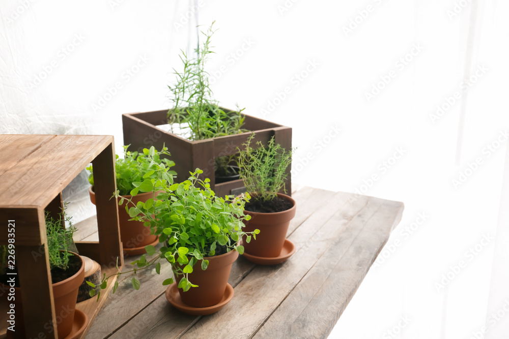 Pots with fresh aromatic herbs on wooden table