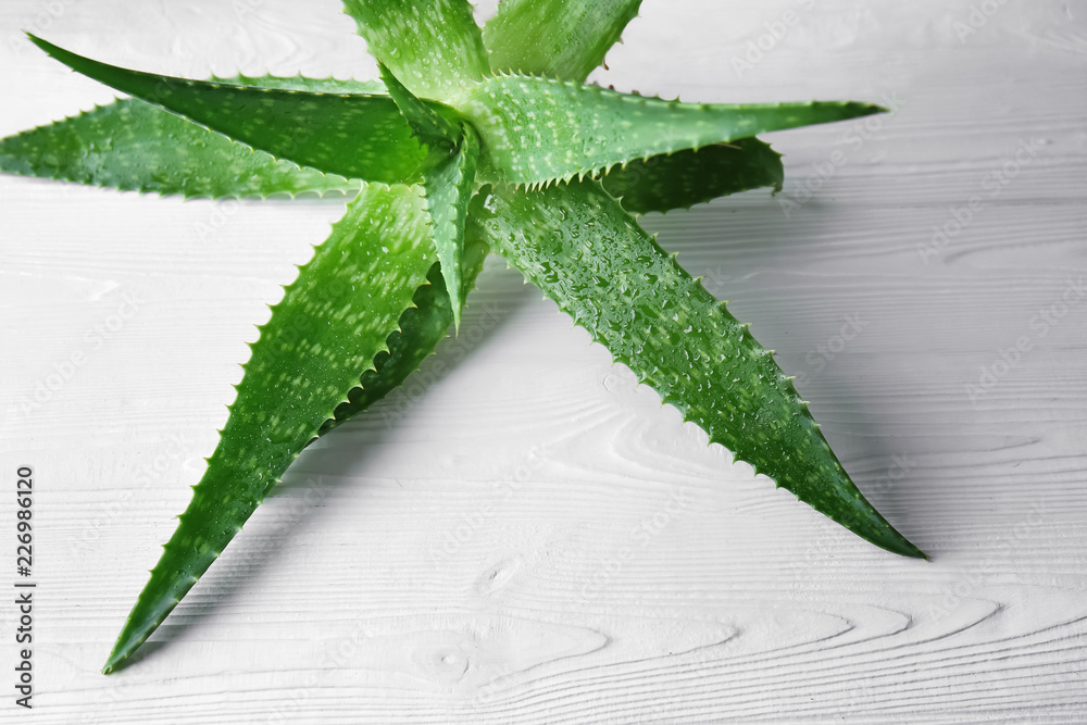 Fresh aloe vera on white wooden table