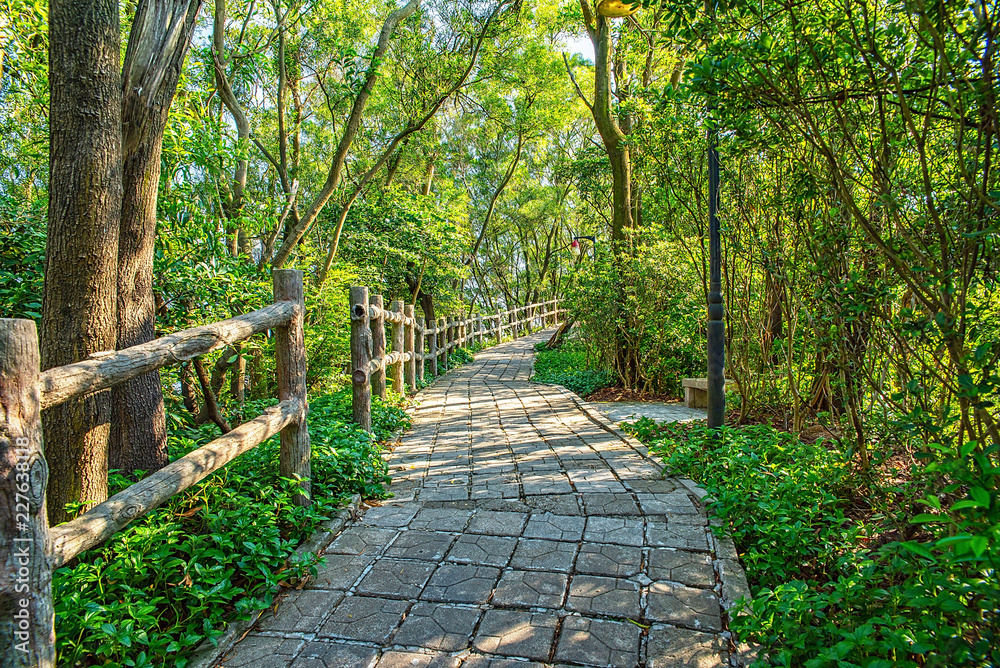 深圳南山公园登山路/森林步道