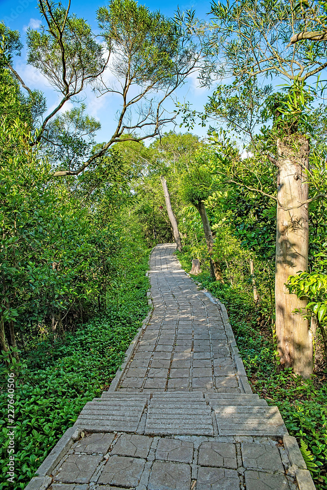 深圳南山公园登山路/蓝天下的山路