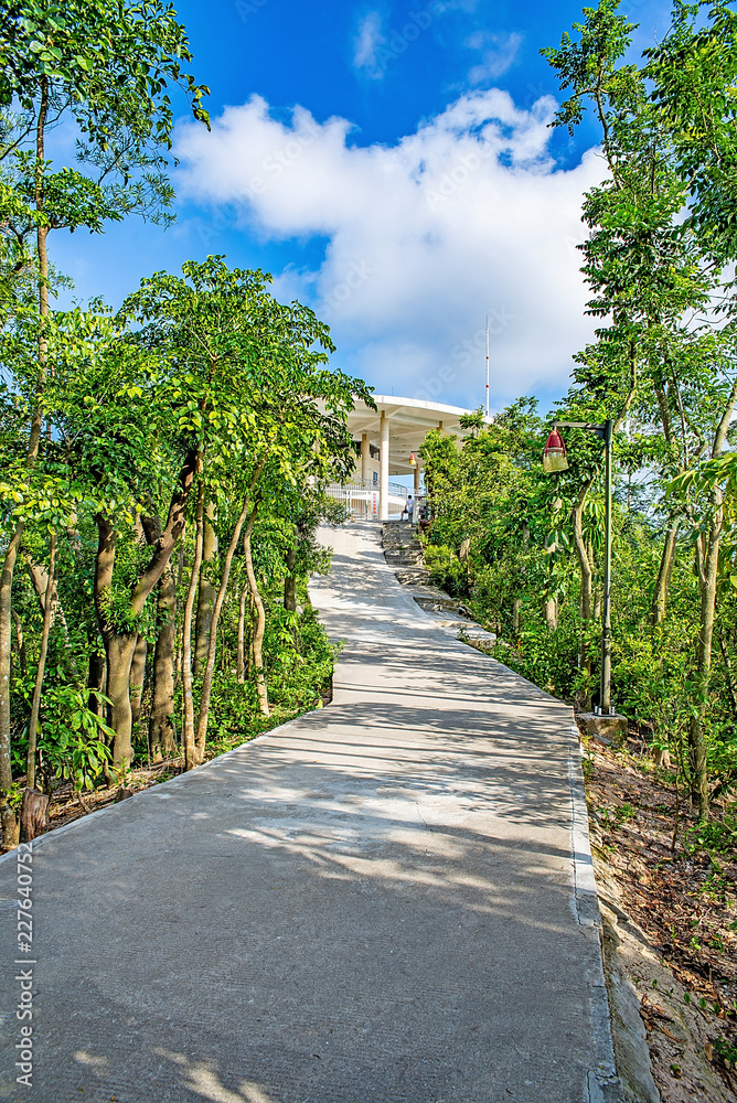 深圳南山公园登山路/蓝天白云下的山路