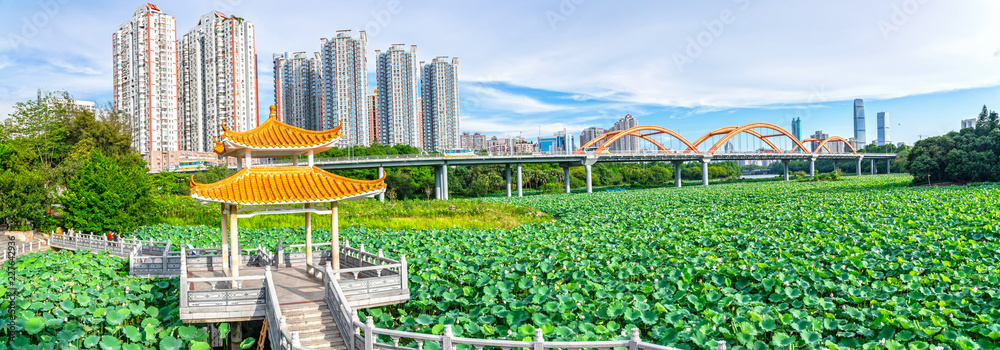 深圳洪湖公园全景/荷花池和彩虹桥