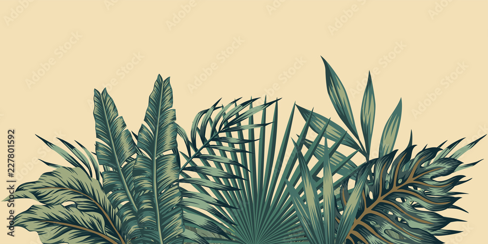 Jungle composition tropical leaves pattern