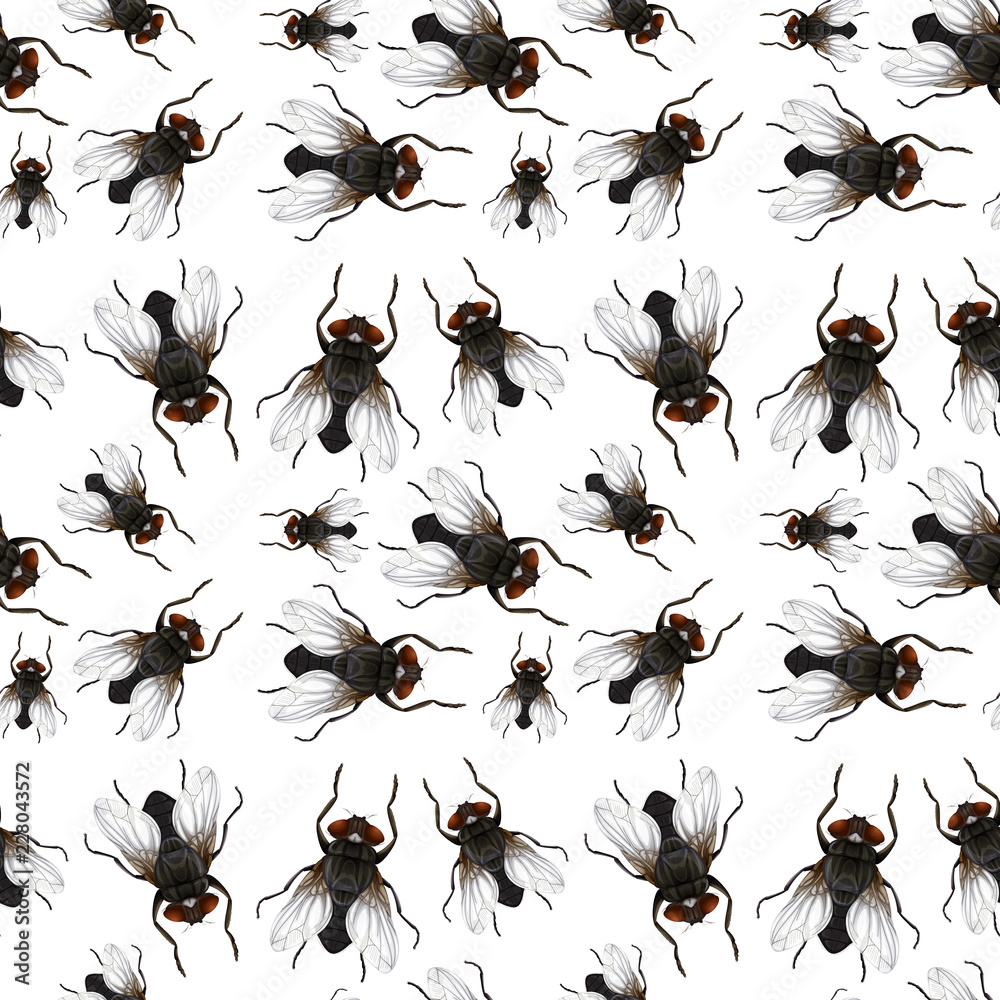 Seamless pattern of flys