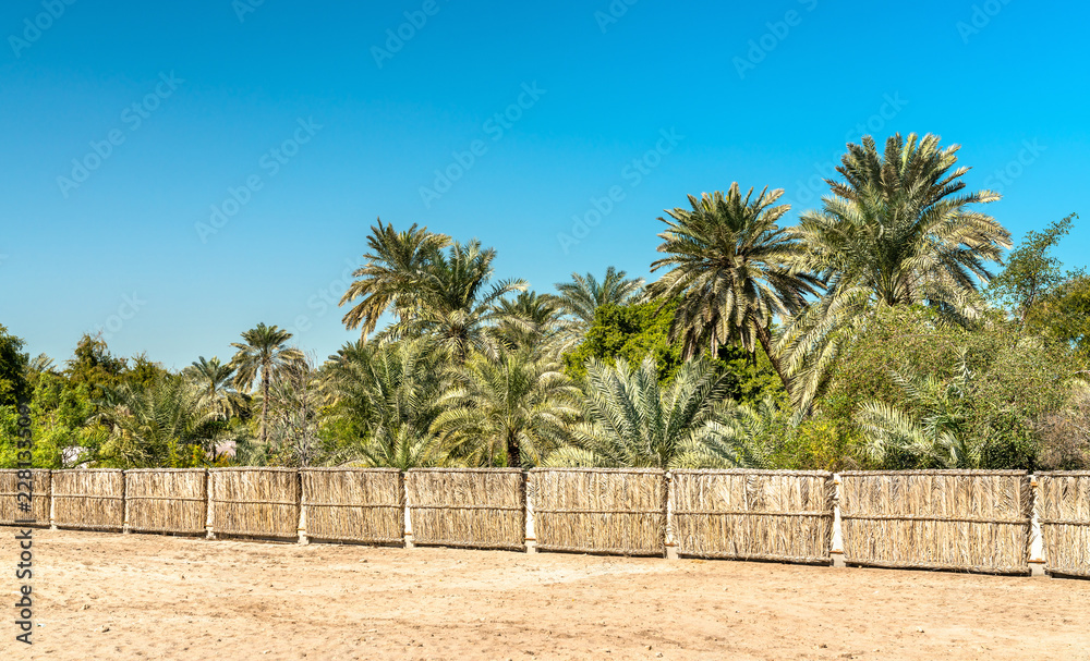 Parm grove at Bahrain Fort. A UNESCO World Heritage Site