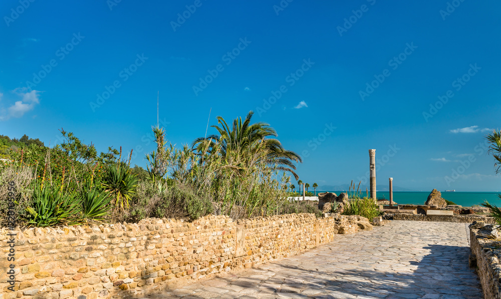 Ruins of the Baths of Antoninus in Carthage, Tunisia.