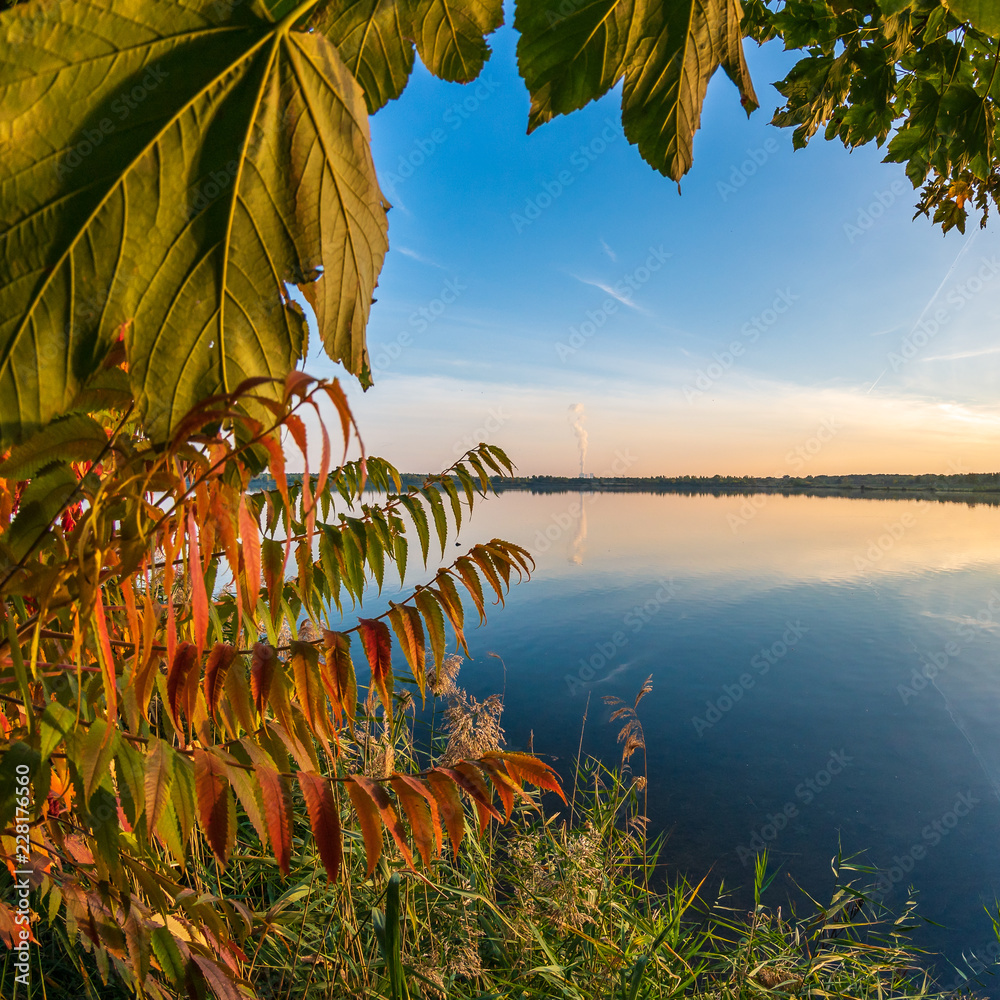 Colorful leaves in front of a blue lake