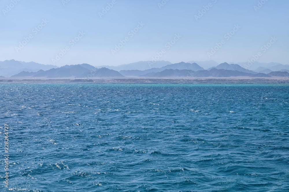 夏日海景