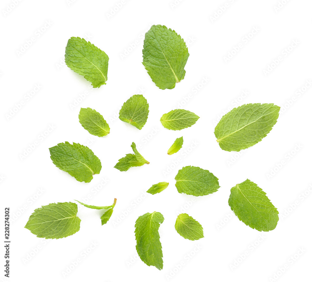 Fresh aromatic mint leaves on white background