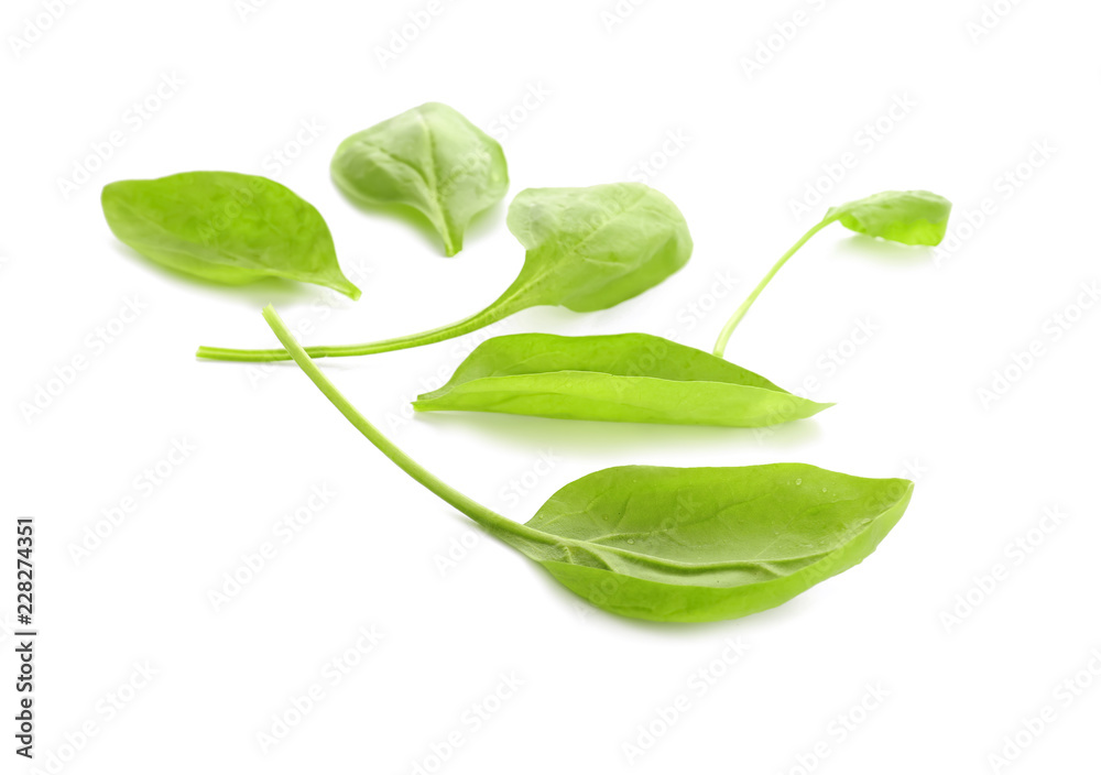 Fresh aromatic sorrel on white background