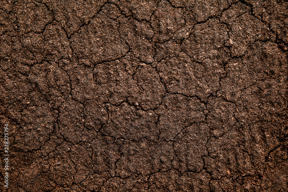 Soil texture, closeup