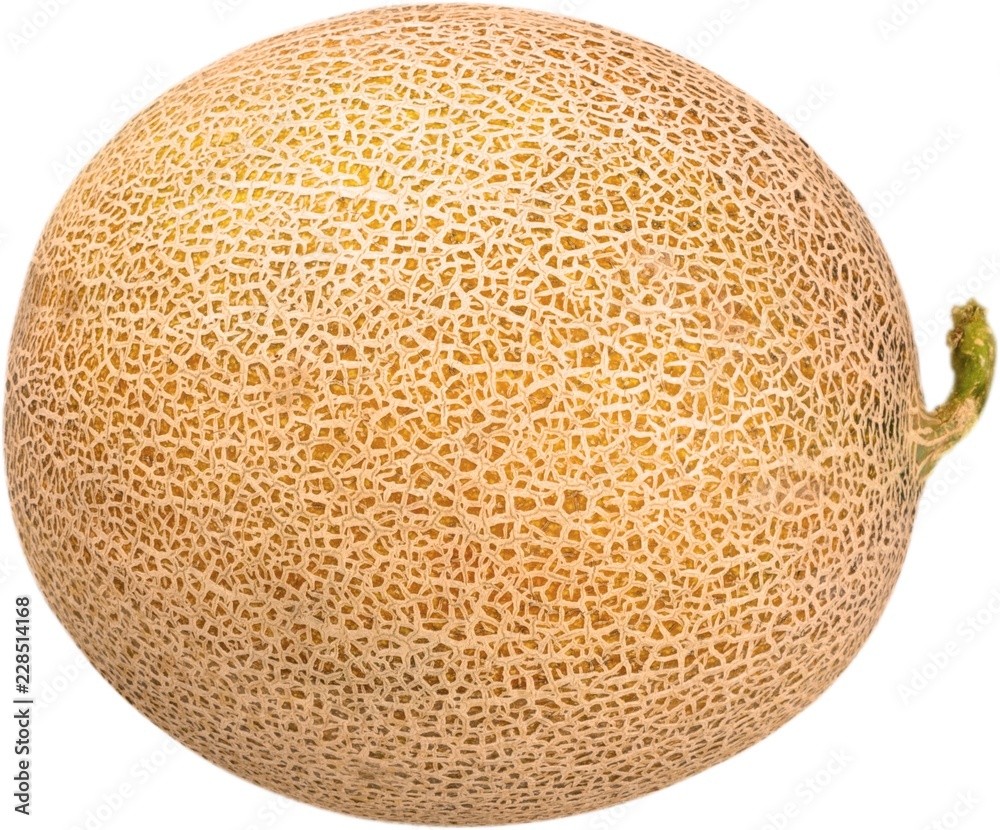 Whole Fresh Cantaloupe - Isolated