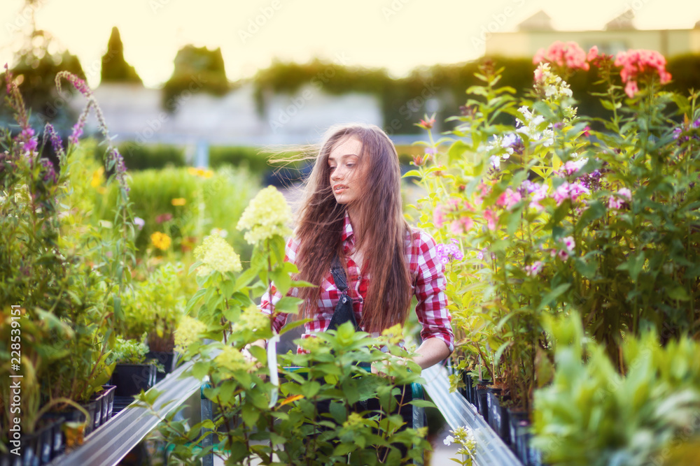 Gardener woman with shopping cart choosing plants and walking along alley in a garden center