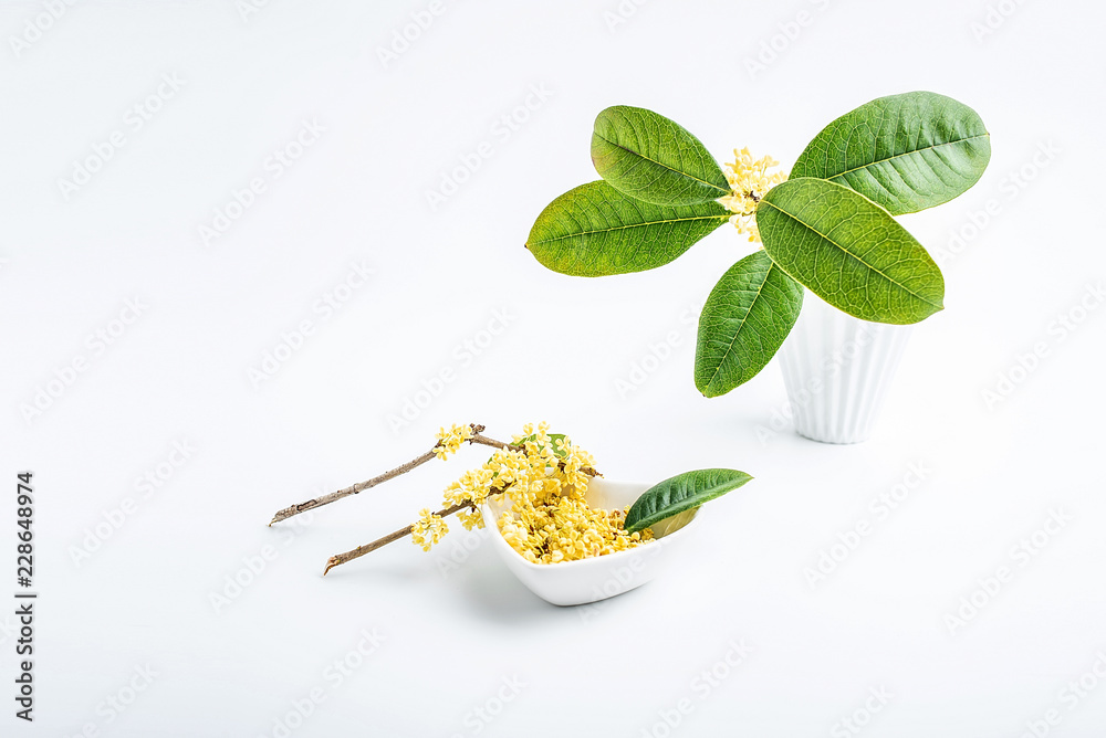 秋季鲜桂花茶