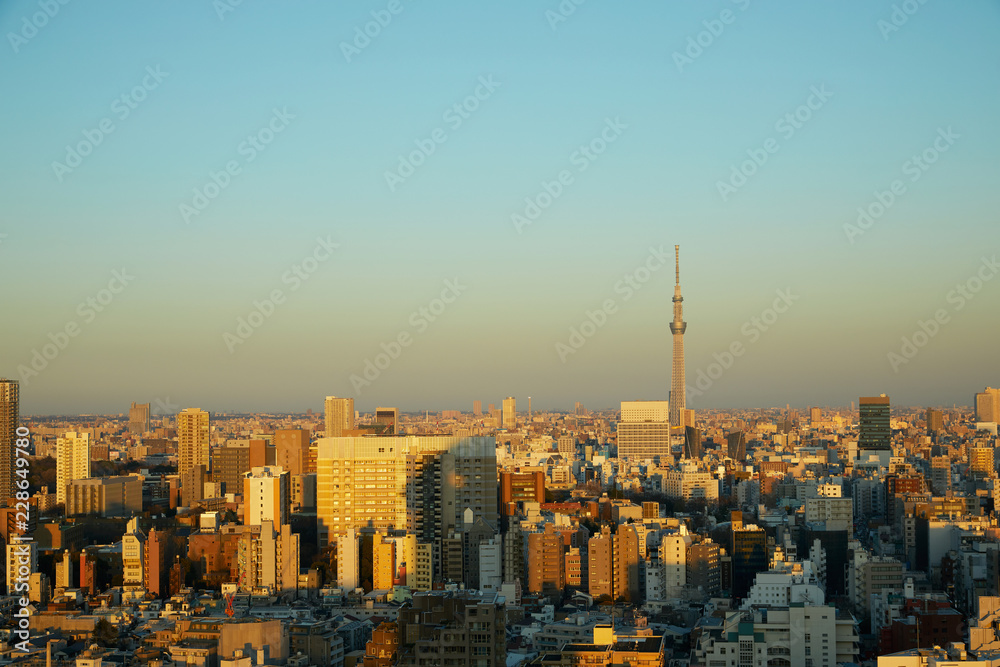 東京　夕景