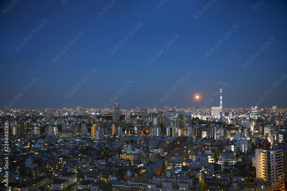 東京　夜景