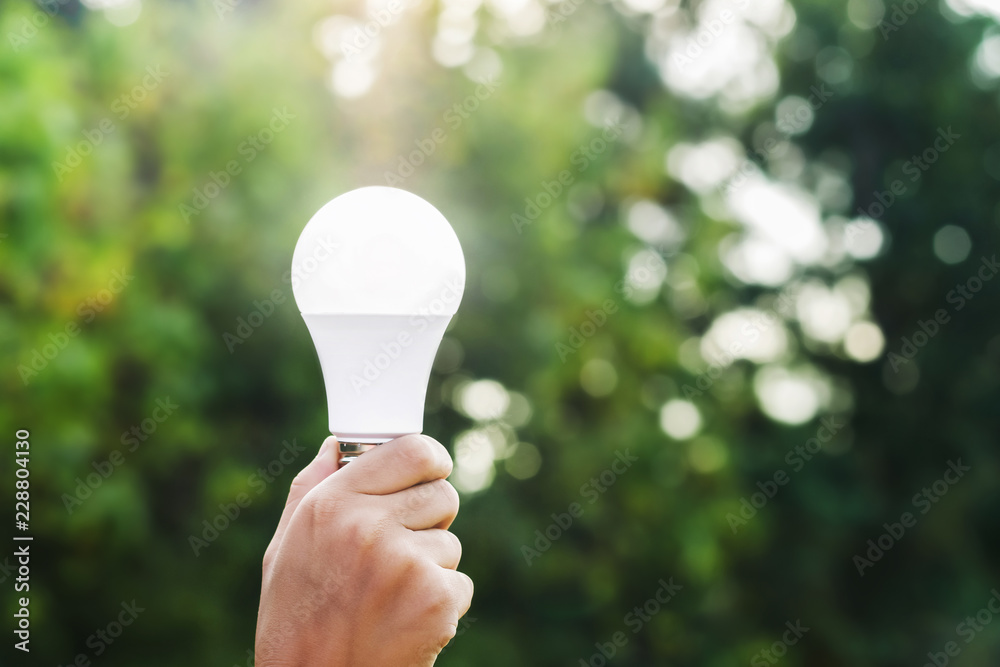 hand holding led bulb  on green nature background and sunshine. concept eco