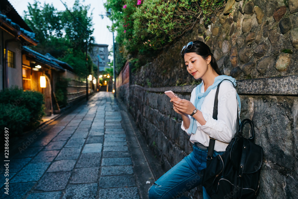 倚石墙的优雅女士