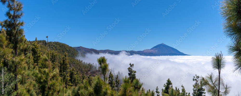 山景