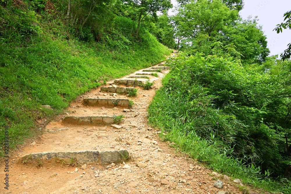 登山道