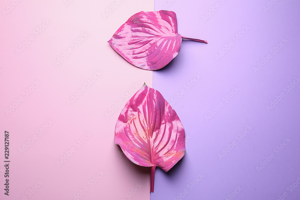 Pink tropical leaves on color background