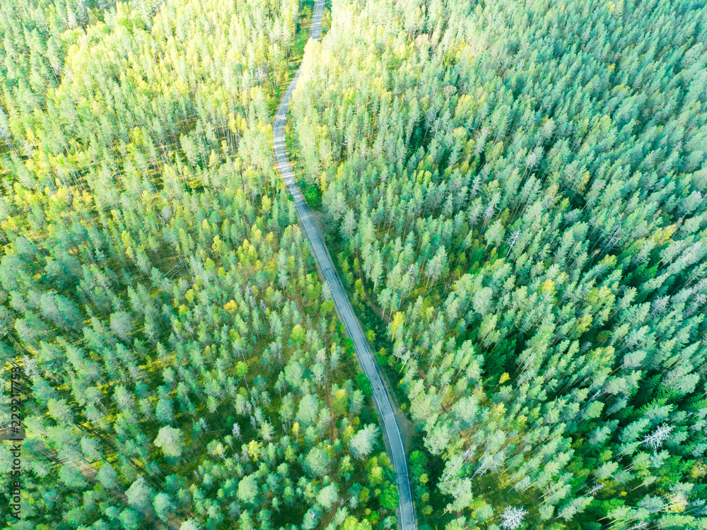 森林中一条乡村公路的鸟瞰图，车在行驶。风景。用相机从上方拍摄