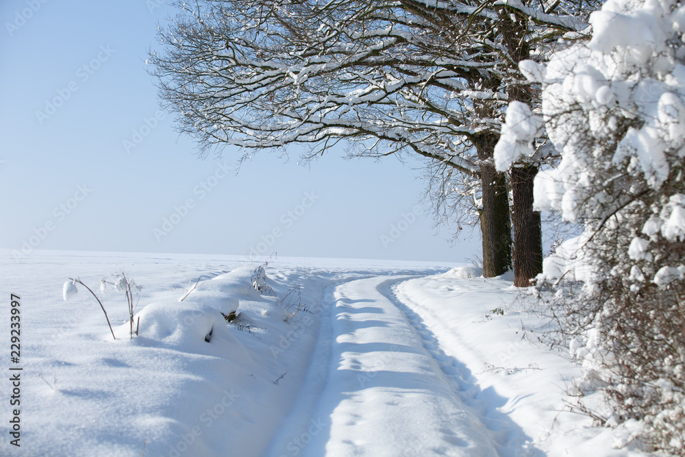 穿过冬季田野的乡村道路。冬季雪景观