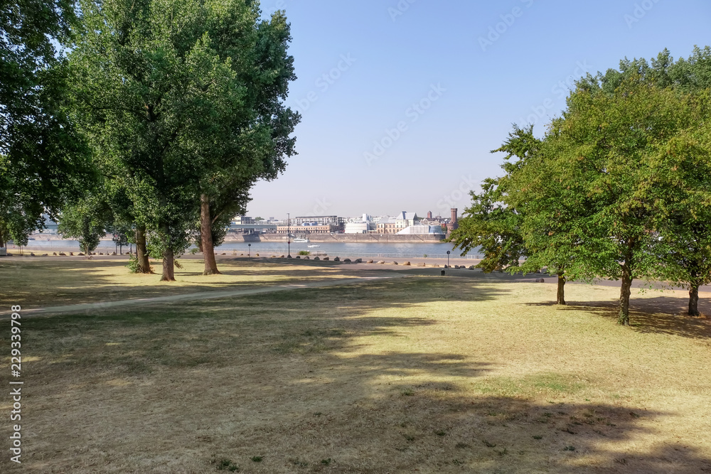 Beautiful park near river in modern city