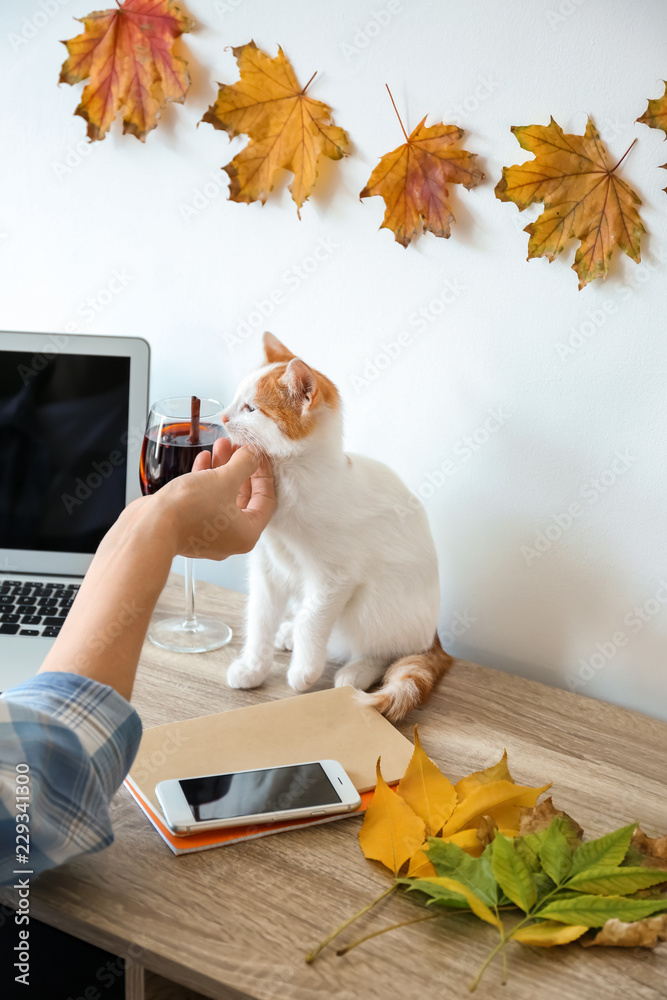 Woman playing with cute little kitten at home