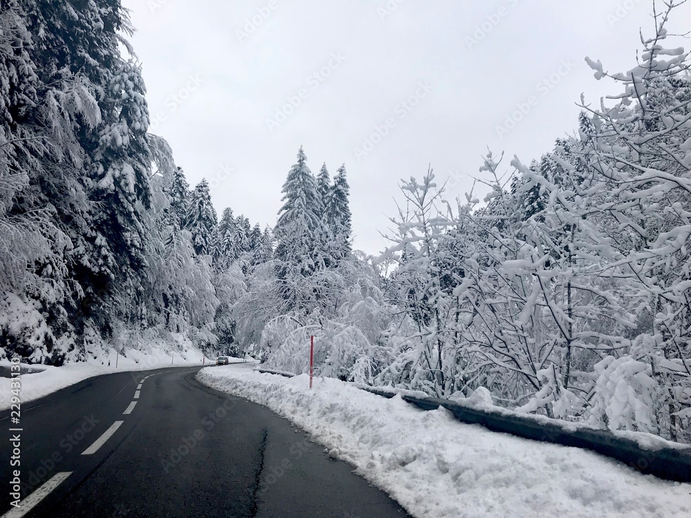 Paisaje invierno nieve blanco carretera冬季景观白雪路