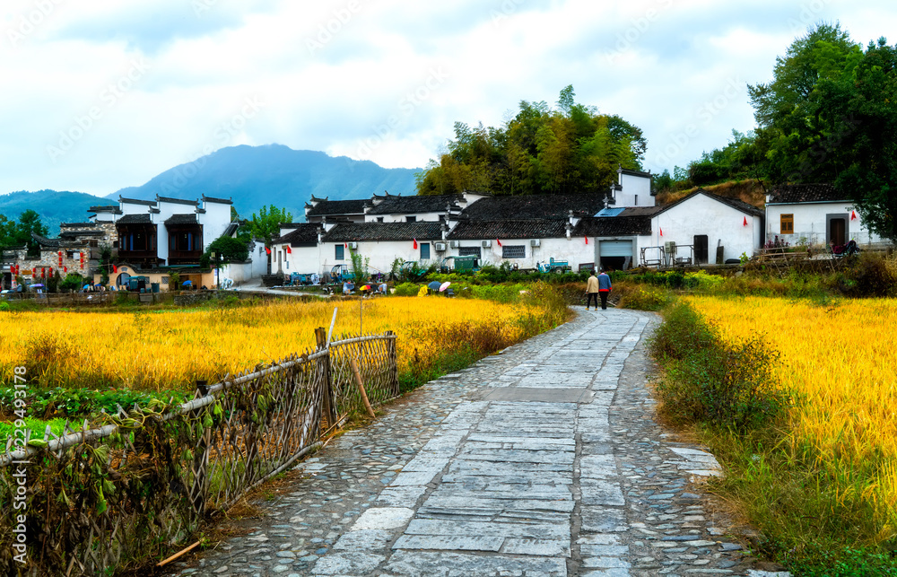 Hongcun Ancient Town, Anhui, China