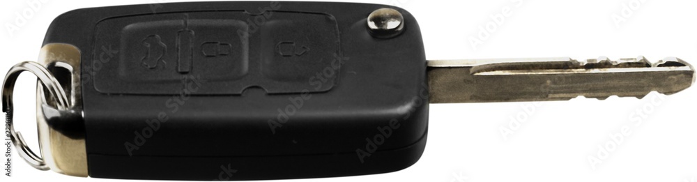 electronic car key