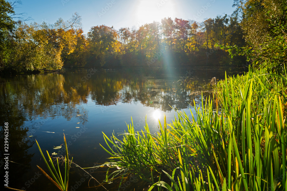 Beautiful autumn reflected in the lake in Poland