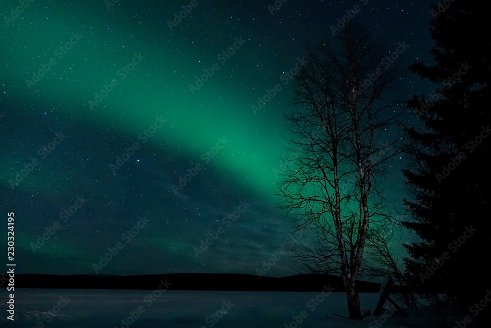 在平静的夜晚，五颜六色的绿色和蓝色灯光照亮了白雪皑皑的风景。