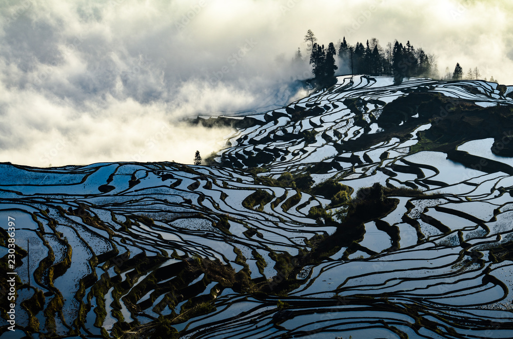 Yuanyang rice terrace at sunrise, Yunnan province, China