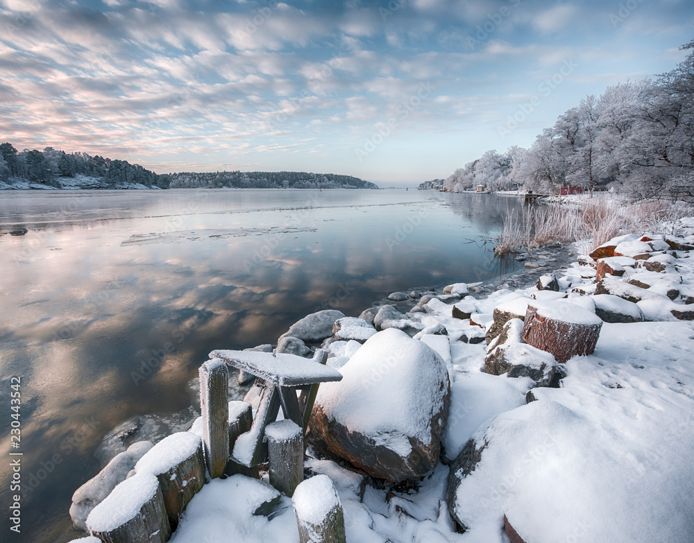 海岸线和平静的大海的冬季景观，树木和地面被雪覆盖