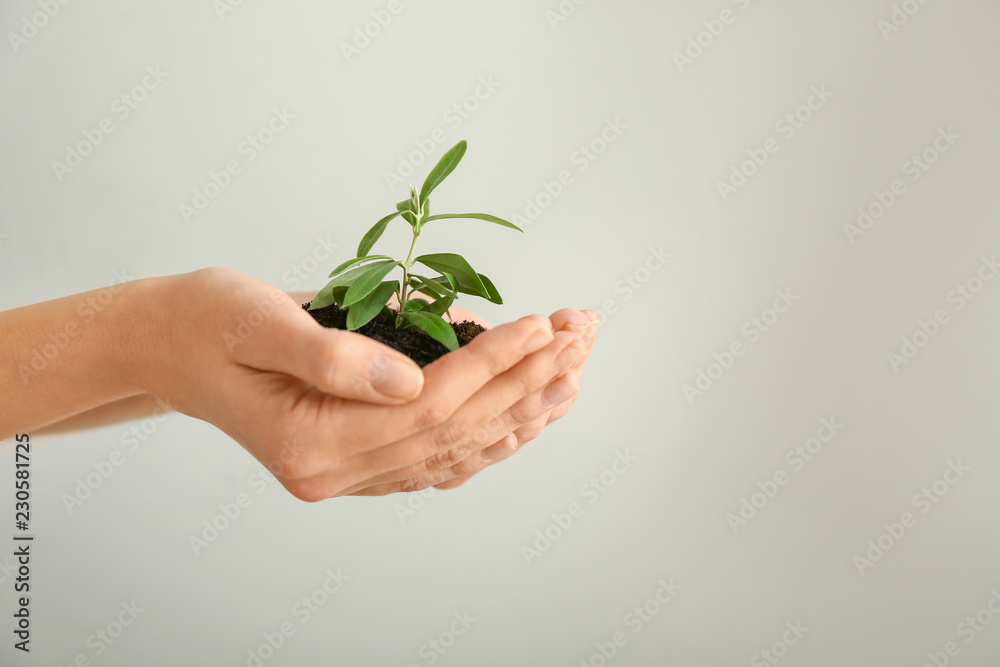 在浅色背景下，手里拿着绿色植物的女人。生态概念