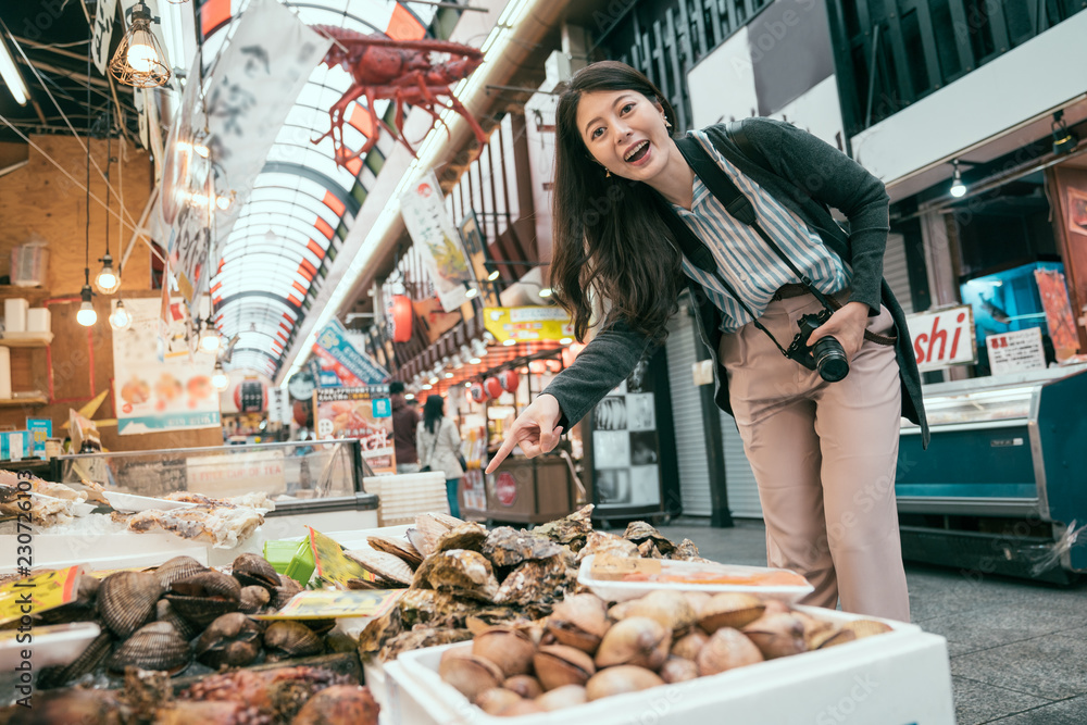 在大阪度假的日本旅行小姐。