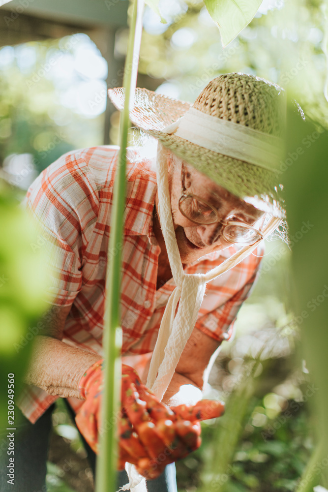 Senior woman tending to the plants in her garden