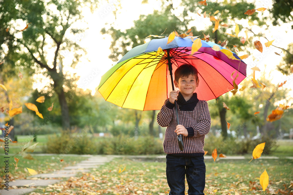 Cute little boy with colorful umbrella in autumn park