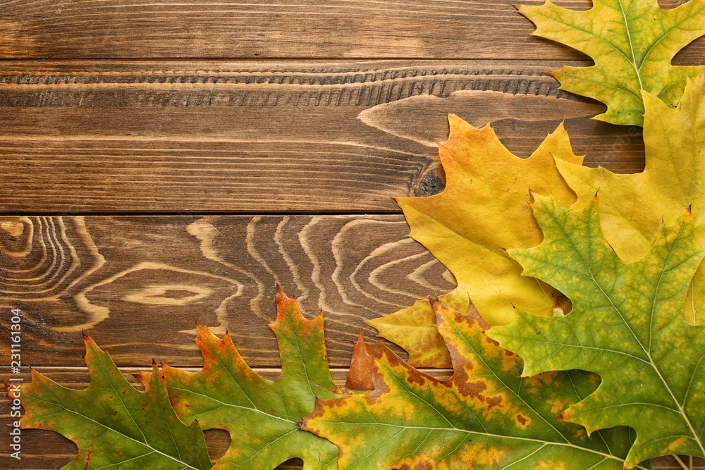 Beautiful autumn leaves on wooden background