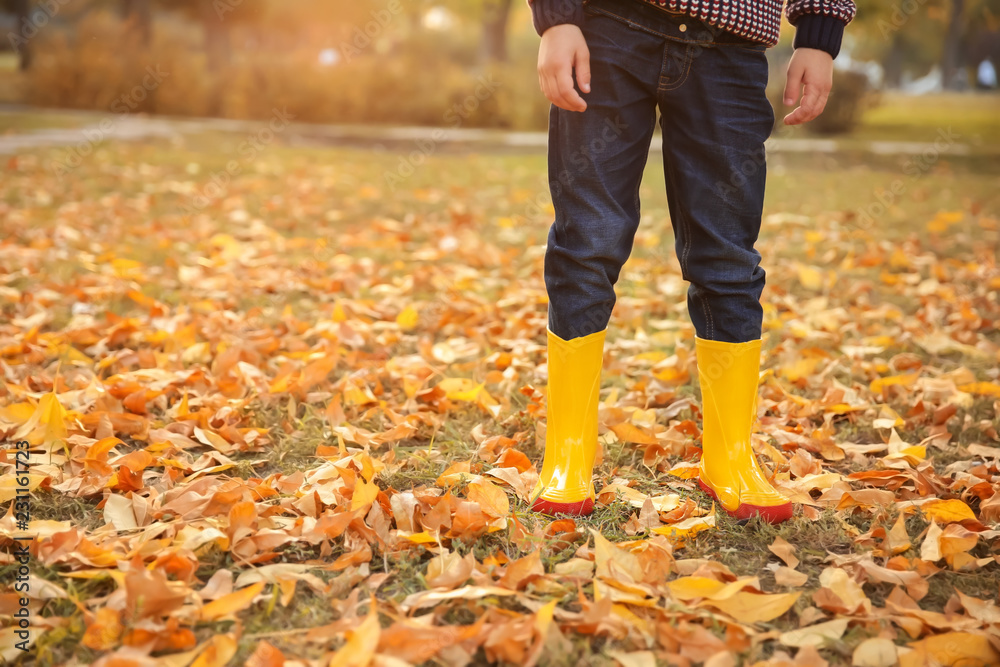 Cute little boy in autumn park