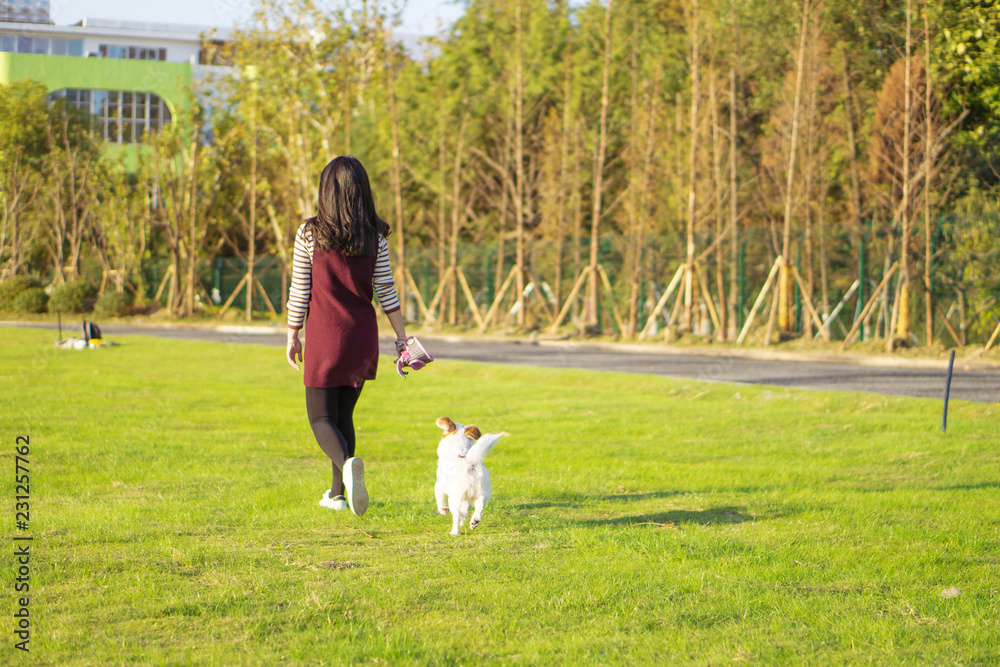 狗狗和女主人，公园背景