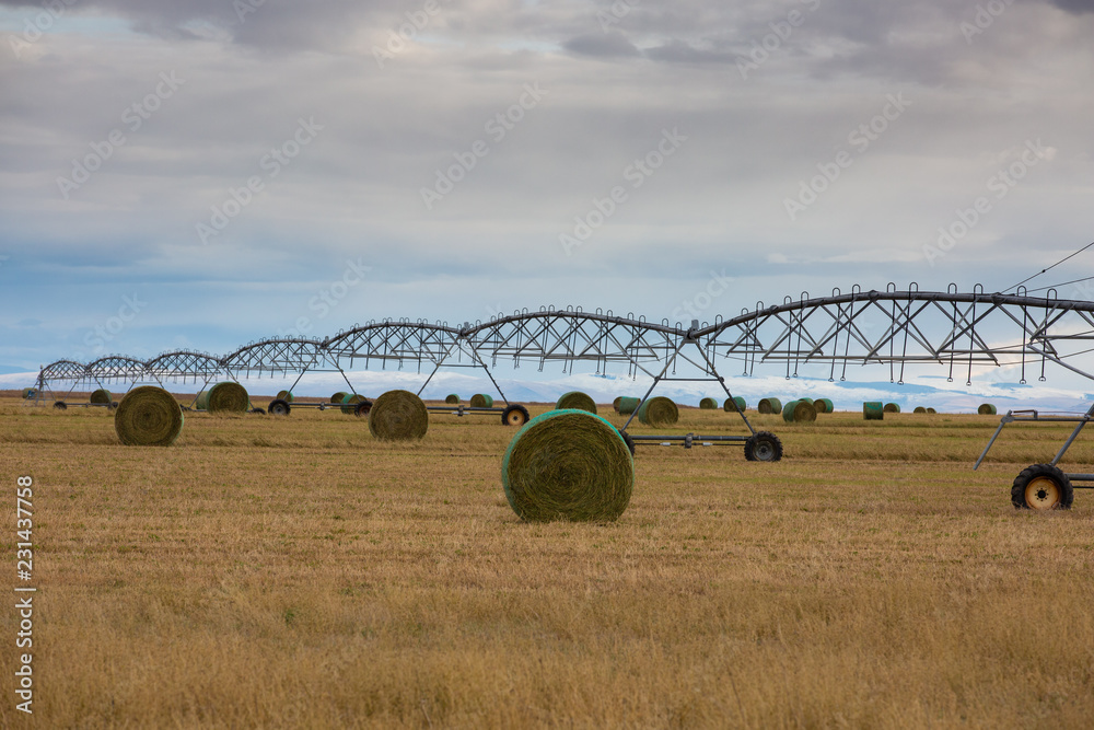 Circular ag sprinkler in hay field with round bales.