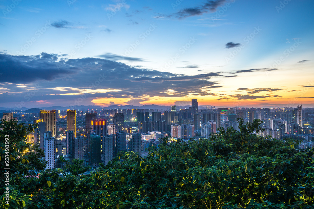 panoramic city skyline