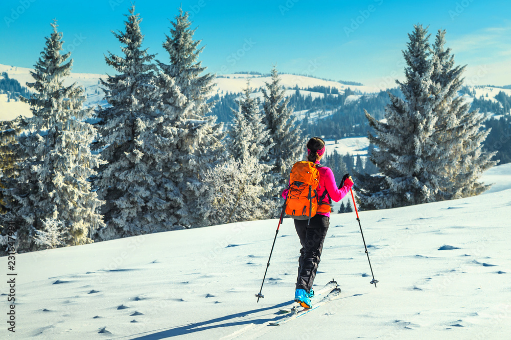 特兰西瓦尼亚、喀尔巴阡山、罗马尼亚、欧洲的山地滑雪之旅