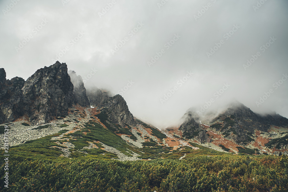 斯洛伐克Mlynicka山谷的高塔特拉山景