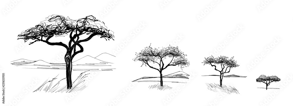 Hand drawn sketched african tree