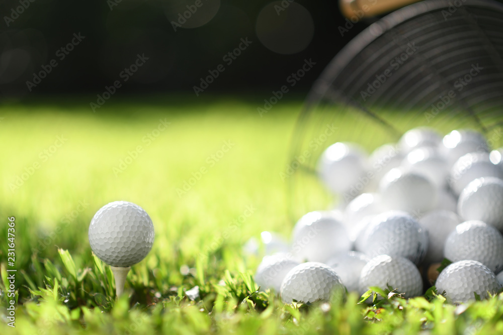 Golf ball on tee and golf balls in basket on green grass for practice